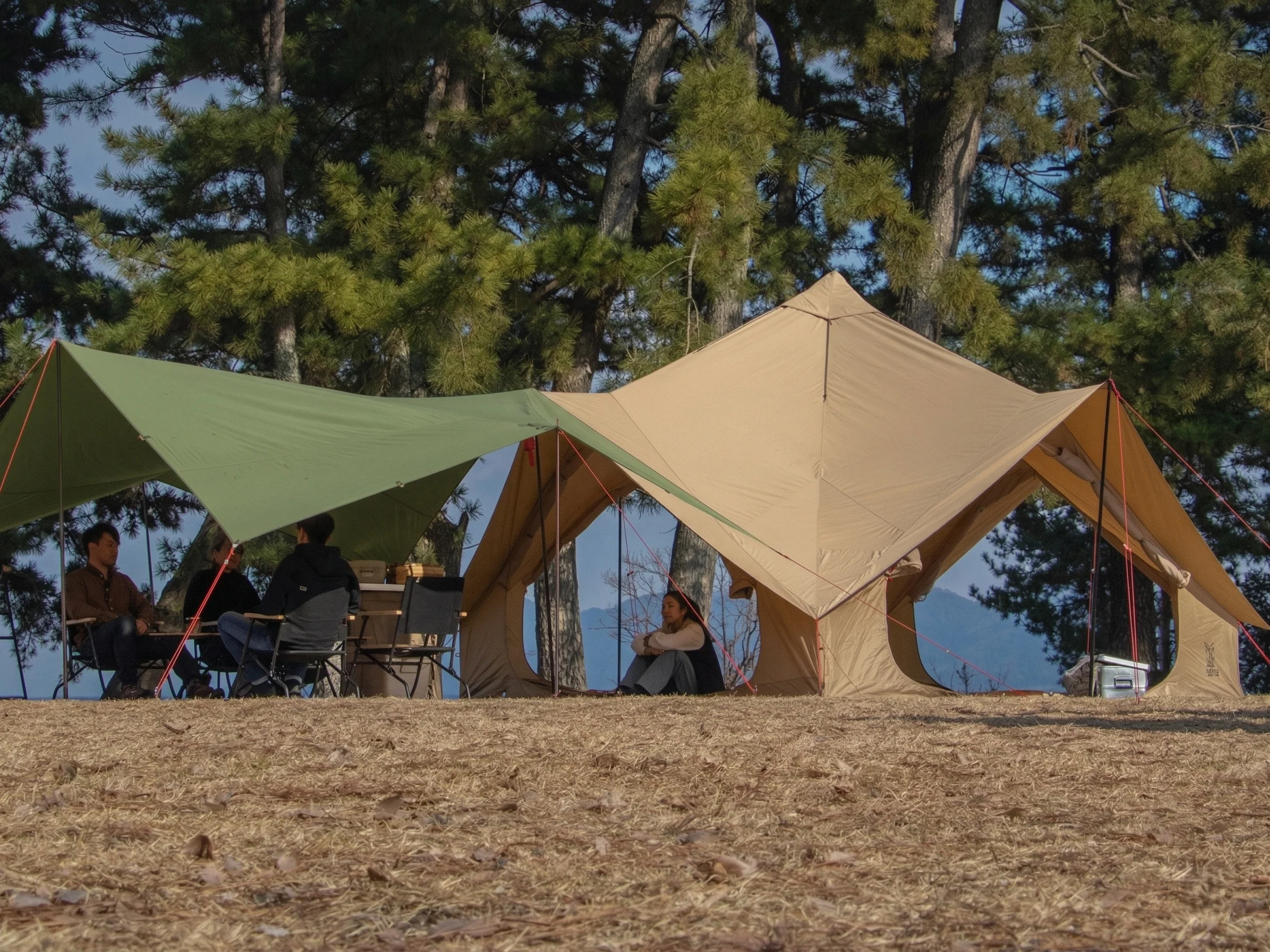 Tents (ON SALE)